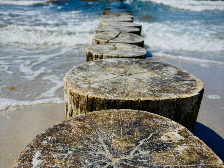 Wellenbrecher vor Ostsee Holzpfähle entlang eines Strandes, Wellen brechen sanft daran.